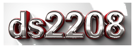 ds2208 logo